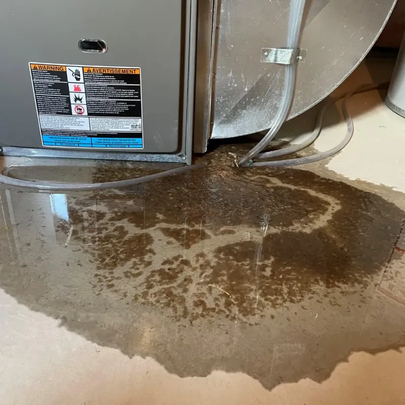 Appliance Leak Cleanup in Winnsboro Mills, SC